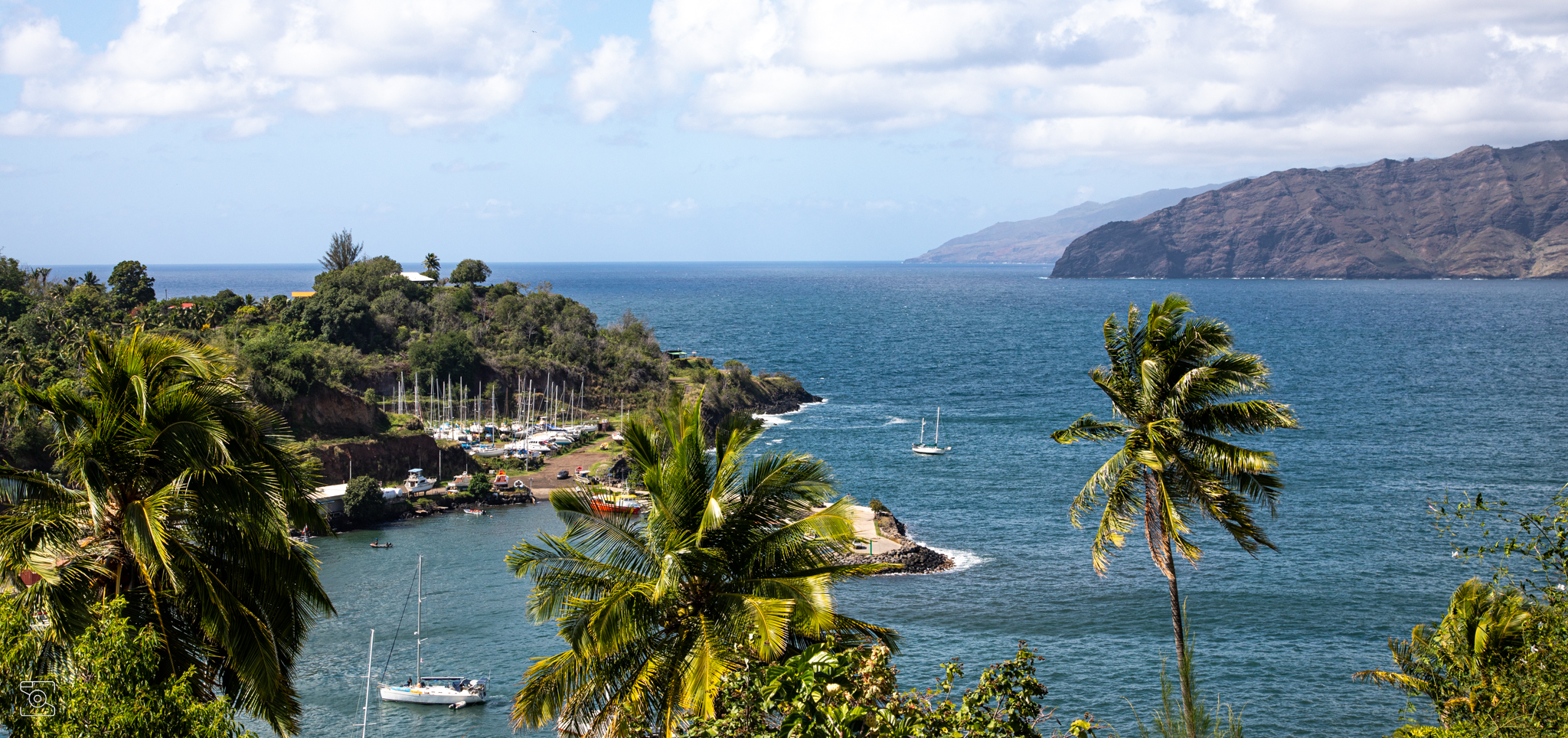 Port des Marquises avec voiliers et cocotiers en premier plan