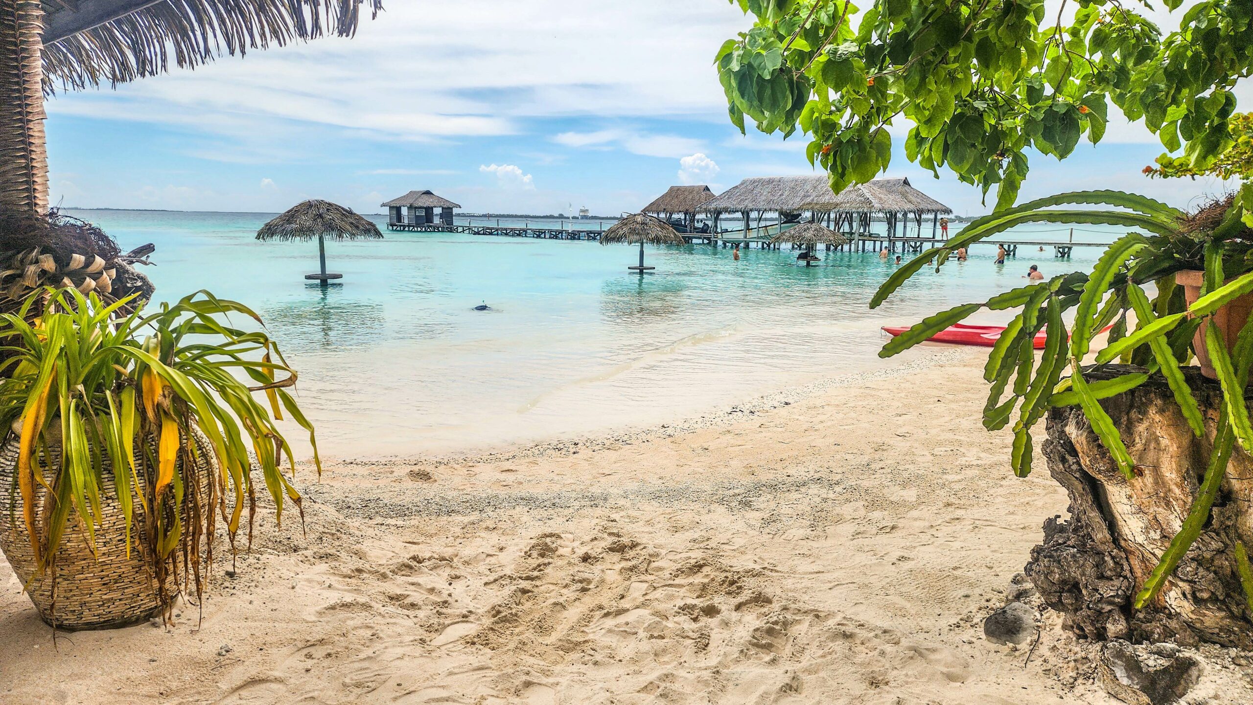 Vue sur la plage et les pontons du Snack du Requin Dormeur à Fakarava