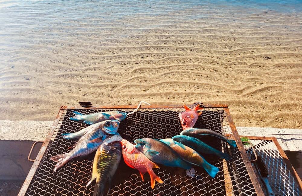 Un bon BBQ en bord de mer ?