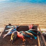 Un bon BBQ en bord de mer ?