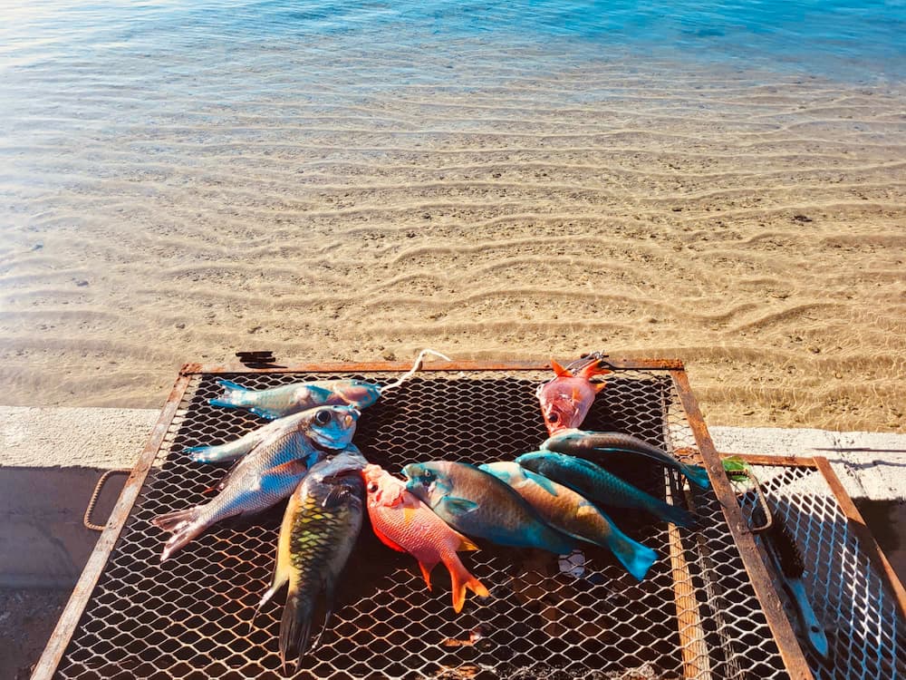 Un bon BBQ en bord de mer ?